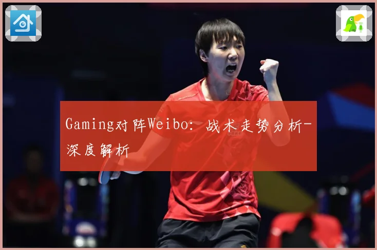Gaming对阵Weibo：战术走势分析-深度解析