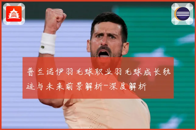 普兰诺伊羽毛球职业羽毛球成长轨迹与未来前景解析-深度解析